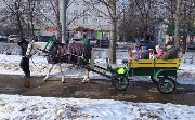 DSC04846.jpg