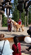 IMG-20180531-WA0018.jpg